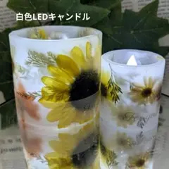G06 ボタニカルキャンドルホルダーセット（LEDキャンドル付き）