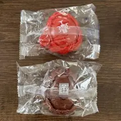 仮面ライダーマイス　GPライダーエグズ01 2種セット
