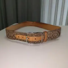 ブラウン ベルト