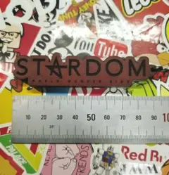 【希少】女子プロレス スターダム レザーキーホルダー 中野たむ選手 中古品