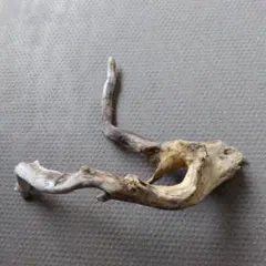 【厳選流木】　ADA社　ブランチウッド4本　2025年カレンダーおまけ付き 厳選流木】 ADA社 ブランチウッド4本 2025年カレンダーおまけ