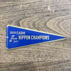 中日ドラゴンズ　ファーム日本チャンピョン　シールのサムネイル