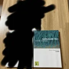 レア　アイソパラメトリック　森博嗣