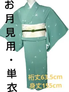 値下げ交渉OK！」夏物 洗える ポリエステル 絽 小紋 セット F541
