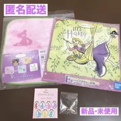 ディズニー　シークレットキーチェーン　 タオル　3点セット【ラプンツェル】