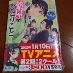 薬屋のひとりごと　ライトノベル13巻のサムネイル