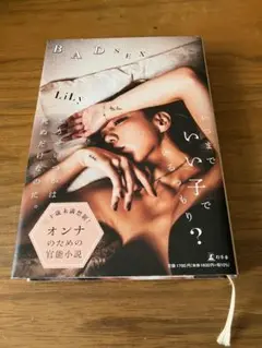 BADSEX Lily 大人向け小説