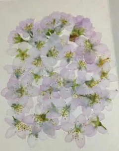 Item thumbnail for item a98ff08f-0a96-455d-aa48-8cbd41f380ae