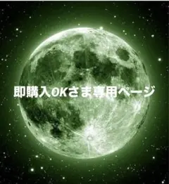 即購入OKさま専用ページ