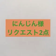にんじん様 リクエスト 2点 まとめ商品