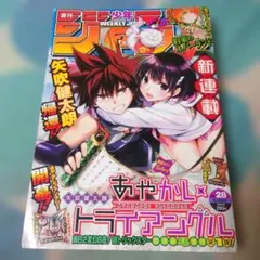 週刊少年ジャンプ 2020年 6月29日号　No.28