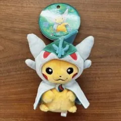 d*9様 ポケモンセンター ピカチュウ ぬいぐるみ