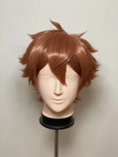 【即納】エース ・トラッポラ 風 セット済みコスプレウィッグ ツイステ