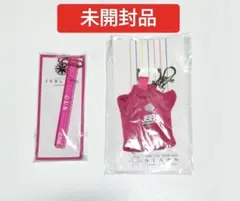 三代目JSB 岩田剛典 キーホルダーセット　未開封品