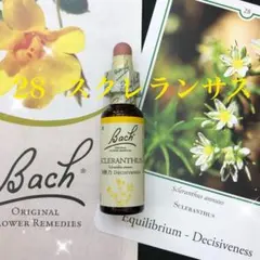 SALE♡28バッチフラワーレメディ スクレランサス フラワーエッセンス 正規品のサムネイル