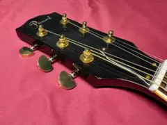 値下！CANDAハミングバード クリーニング済 弦、厚手ピックガード新品