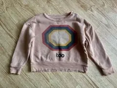 the animals observatory sweat