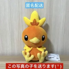 ☆匿名配送☆ プライズ ポケットモンスター ぬいぐるみ アチャモのサムネイル