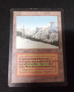 2026年最新】TAIGA MTGの人気アイテム - メルカリ