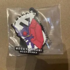 一番くじ　ポケモン　メガシンカ