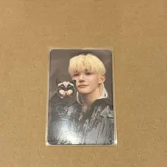 &TEAM Back to Life CD ROAR ソロ盤　JO トレカ