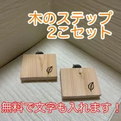 Item thumbnail for item 3972ef50-729a-4a94-b6ad-79db47414b33