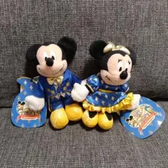 東京ディズニーランド 20周年 ぬいぐるみバッジ ミッキー ミニー