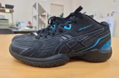 Item thumbnail for item 185b440f-47d9-4691-a05f-0bf11739d5ee