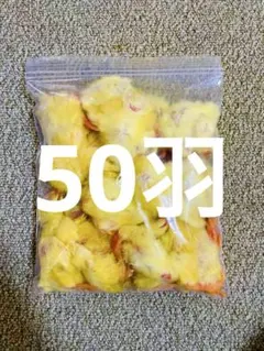【リピート購入で＋10羽】 送料無料 国産 新鮮安全 冷凍ひよこ 700羽 リピート購入で＋10羽】 送料無料 国産 新鮮安全 冷凍ひよこ 100羽