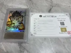 ARS鑑定10 孫悟空 FB05-053 パラレル フュージョンワールド
