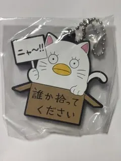 エリザベス 銀魂