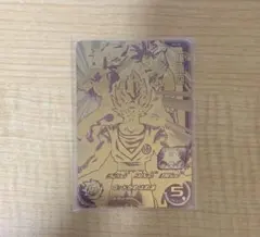 m44419098741_1.jpg?1768020623