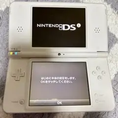 Nintendo DS i LL ホワイト本体 充電器付き 動作確認済