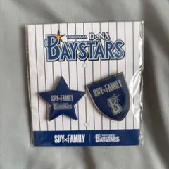 2025年最新】盾 ベイスターズの人気アイテム - メルカリ