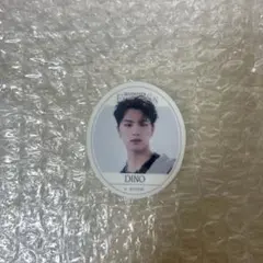 seventeen グミ ステッカー シール ディノ