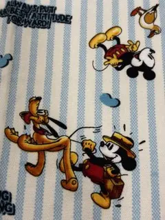 Item thumbnail for item 761d45fd-c4f6-4787-8801-da3cc7d9843b