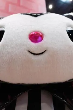 専用