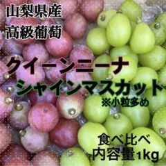 ⑧【訳あり予約】長野県産クイーンセブン1kg【メルカリ便】シャイン