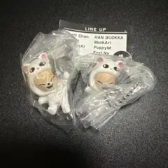 SKZOO つまんでつなげてますこっと vol.2 フォクシニー