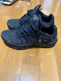 31日までの限定値下げです！】NIKE air max plus - メルカリ
