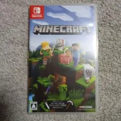 Minecraft Nintendo Switch