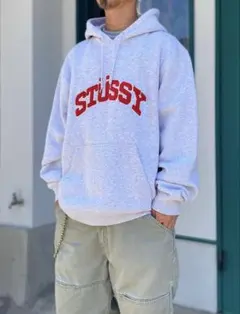 STUSSY フードパーカー CHENILLE ARCH APP HOODグレー