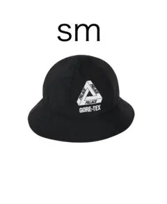 2025年最新】palace gore-tex capの人気アイテム - メルカリ