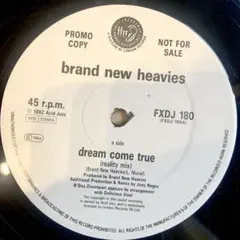 The Brand New Heavies / Dream Come True