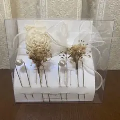 Item thumbnail for item 75b24ead-ed87-4bdb-a380-5496cd32f27b