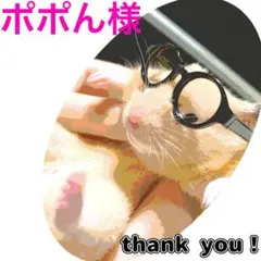 3種セット　チョコスプレー　カラースプレー　(アメリカン、ミックス、イチゴ)