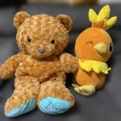 【ぬいぐるみ】クマ￼70センチ　アチャモ53センチ　セット