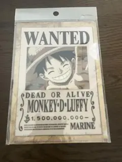 ONEPIECE MONKEY D. LUFFY WANTEDクリアファイル