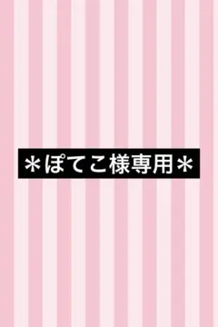 ＊ぽてこ様専用＊