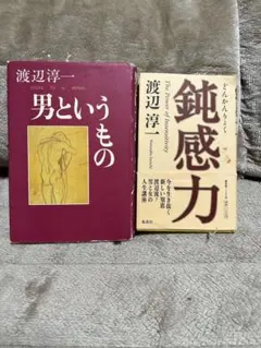 渡辺淳一 男というもの 鋭感力 二冊セット